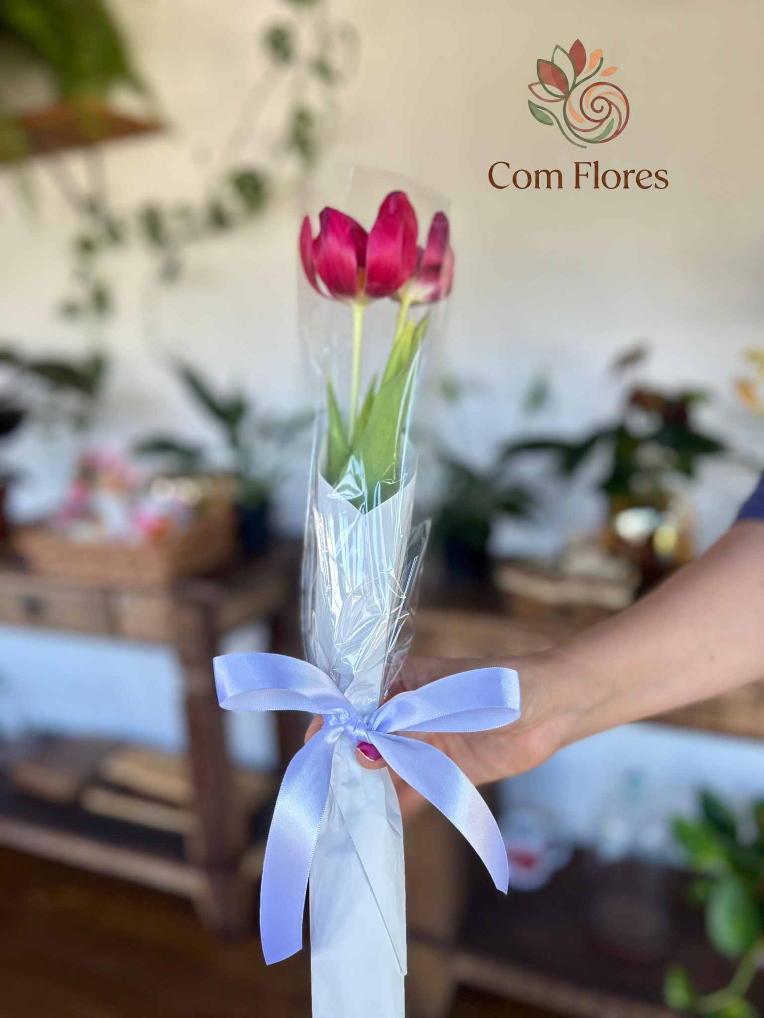Ramalhete Tulipas