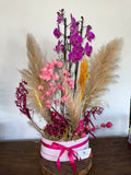 Box Paraíso das Orquídeas