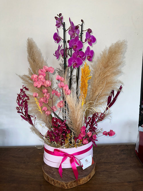 Box Paraíso das Orquídeas